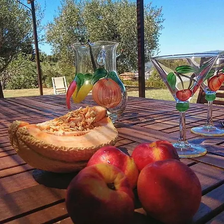 Villa Lazzarini Appartamento Rosella in Villa con piscina a 2km dal mare-2